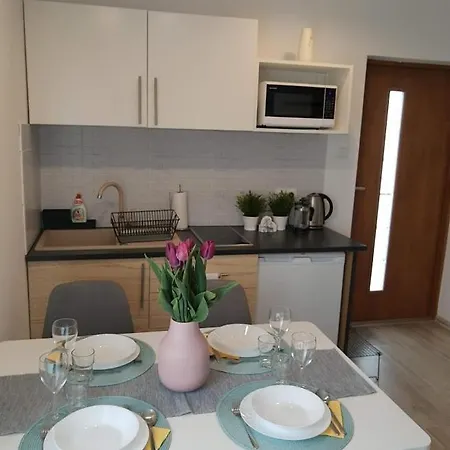 Blekit Przy Jastrzebiej アパート Mieroszyno