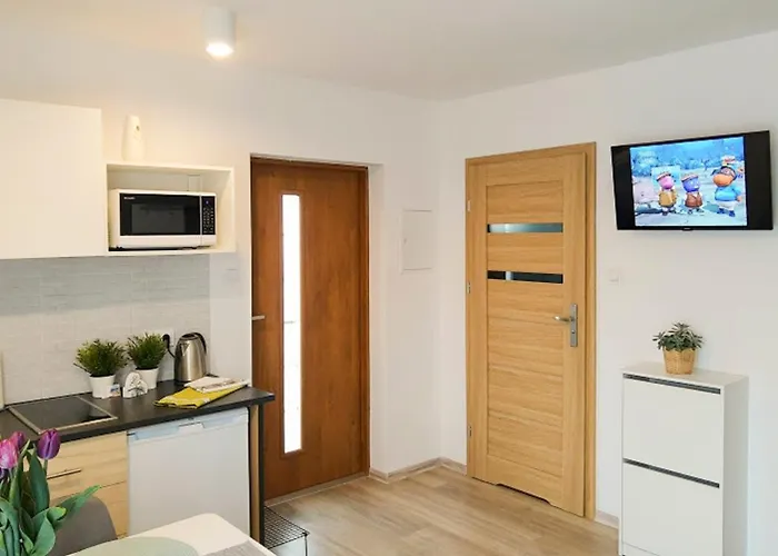 Apartman Blekit Przy Jastrzebiej Mieroszyno