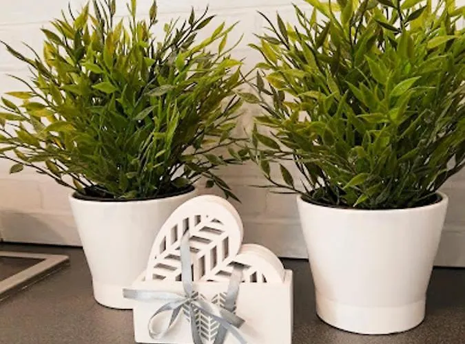 Blekit Przy Jastrzebiej Apartman *