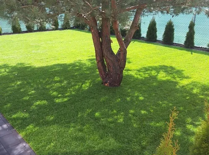 Blekit Przy Jastrzebiej Apartman *